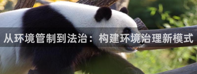 凯发k8国际(中国)官方网站·一触即发：