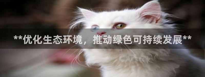 凯发k8官网登录vip|**优化生态环境
