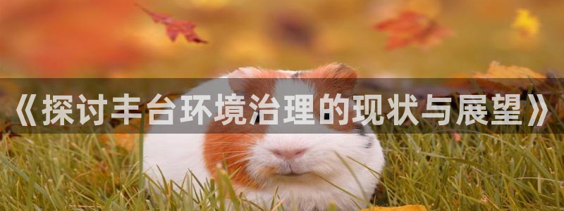 凯发k8国际(中国)官方网站·一触即发|《探讨丰台环境治理的现状与展望》