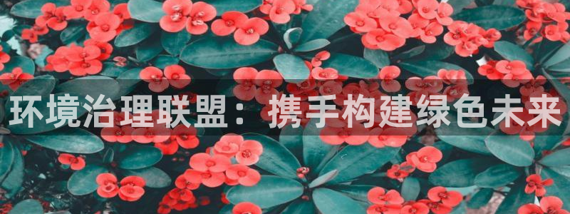 凯发k8网站是多少|环境治理联盟：携手构