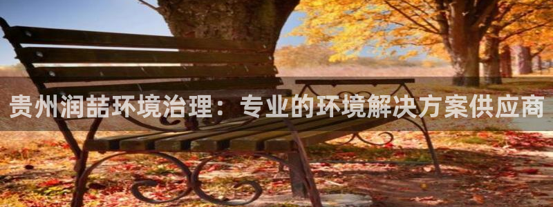 百家乐凯发k8|贵州润喆环境治理：专业的