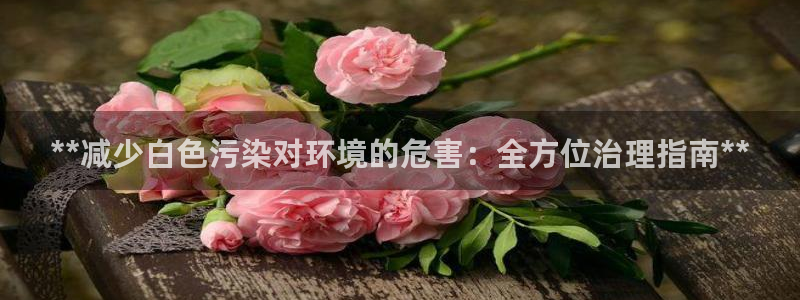 凯发k8旗舰厅注册登录|**减少白色污染对环境的危害：全方位治理指南**