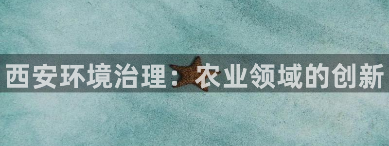 k8凯发国际官方入口