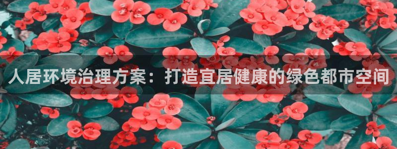 凯发k8官方旗舰店app|人居环境治理方案：打造宜居健康的绿色都市空间