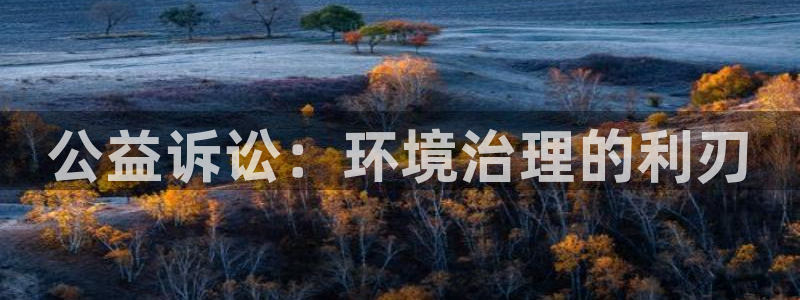 凯发k8·中国官方网站|公益诉讼：环境治理的利刃