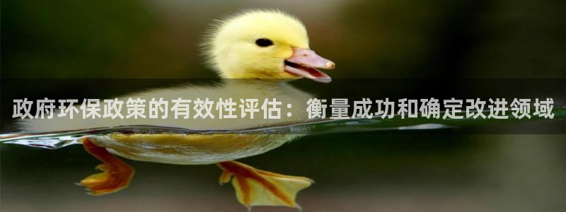 凯发k8网站是多少|政府环保政策的有效性评估：衡量成功和确定改进领域