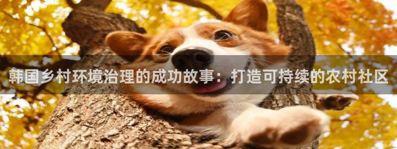 凯发k8国际首页登录|韩国乡村环境治理的