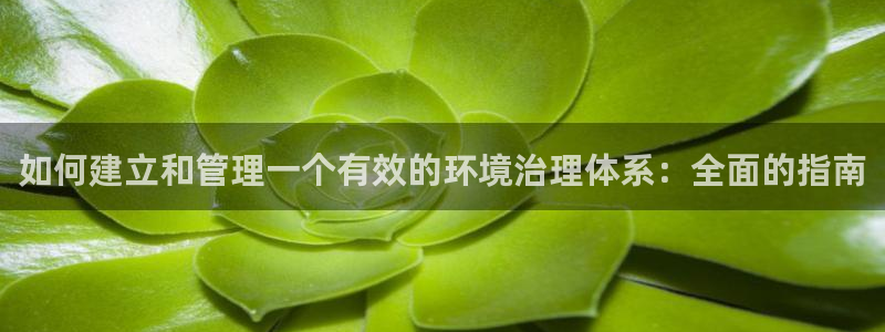 凯发官网入口首页|如何建立和管理一个有效