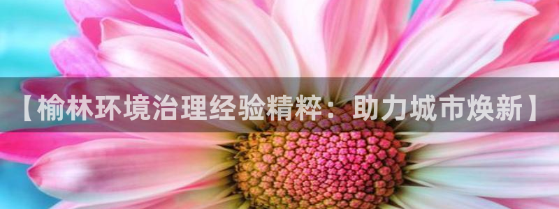 k8凯发国际官方入口|【榆林环境治理经验