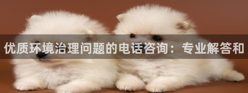 凯发官网首页|优质环境治理问题的电话咨询：专业解答和