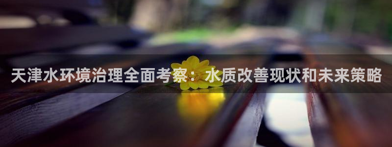 凯发k8旗舰厅注册登录|天津水环境治理全