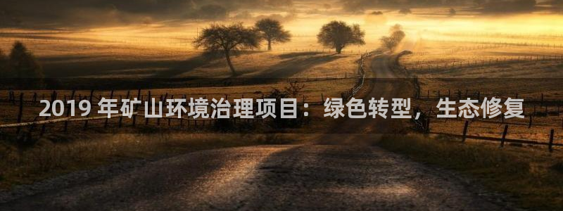 凯发k8娱乐官网手机端|2019 年矿山